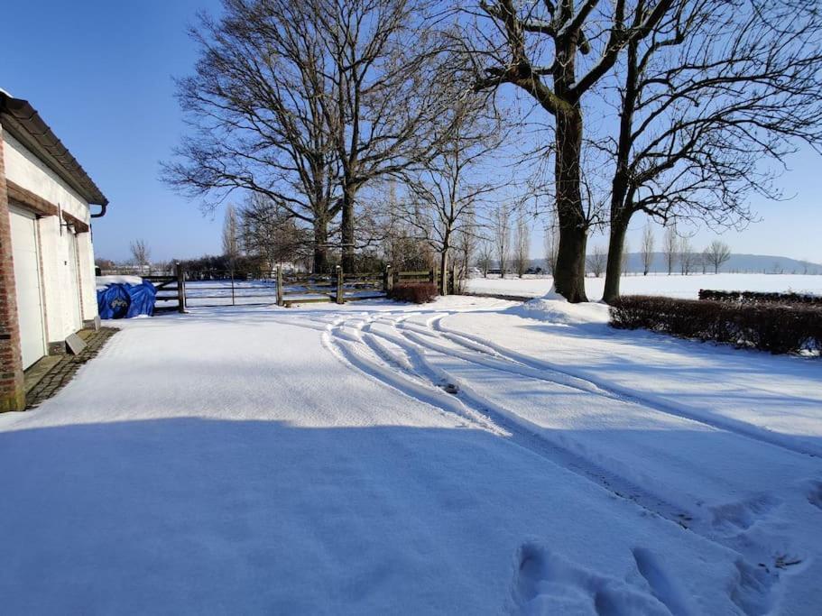 The Horst Cottage ホルスベーク エクステリア 写真
